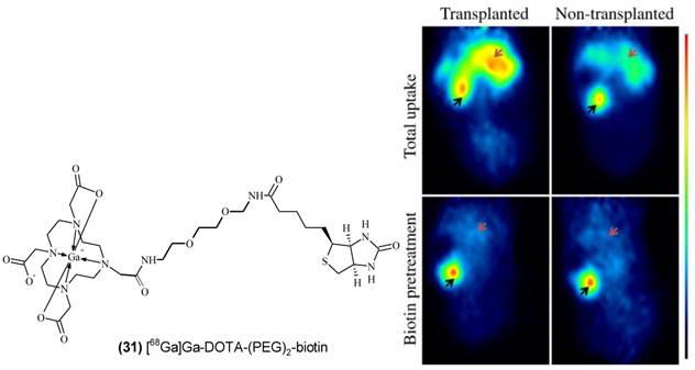 Theranostics Image