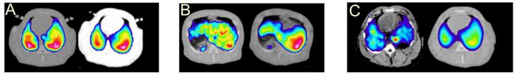 Theranostics Image