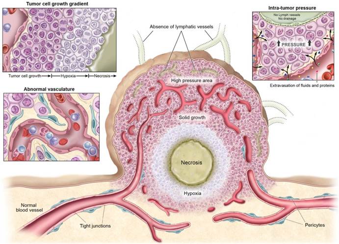 Theranostics Image