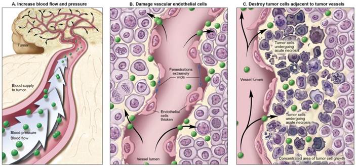 Theranostics Image