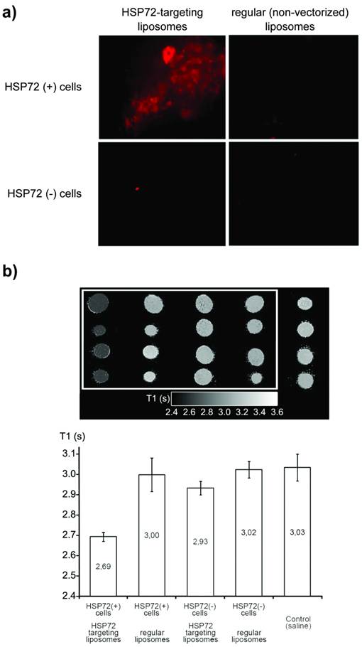 Theranostics Image