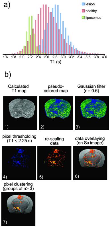 Theranostics Image