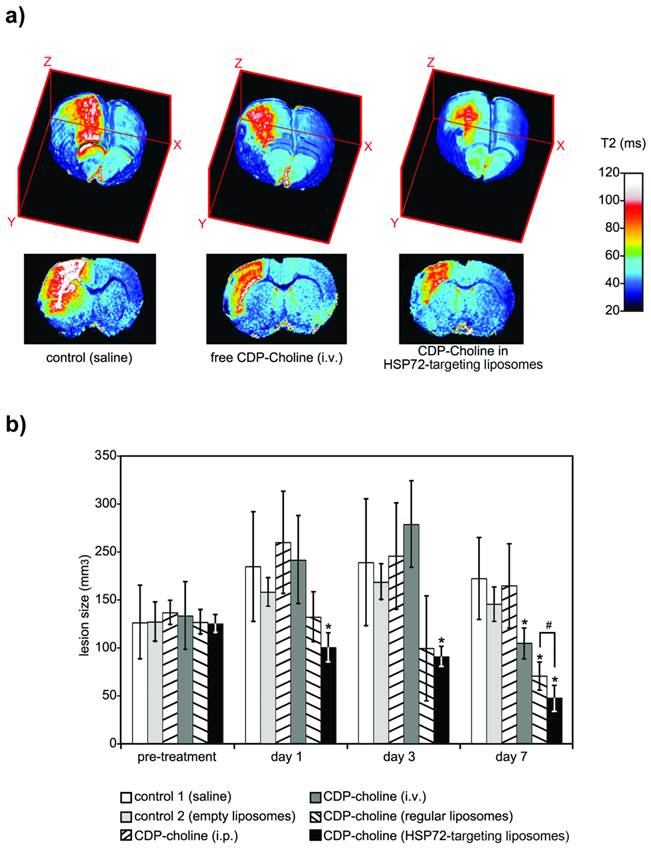 Theranostics Image