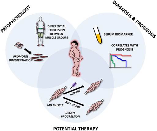 Theranostics Image