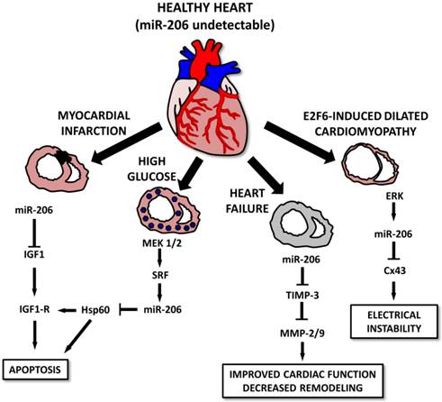 Theranostics Image