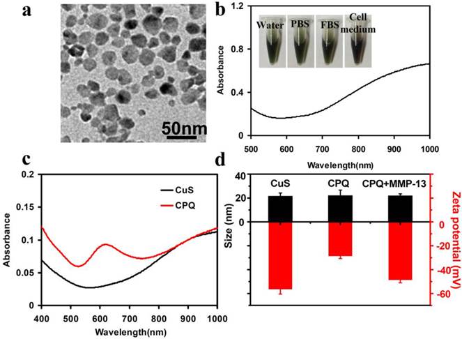 Theranostics Image