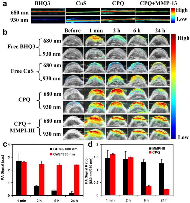 Theranostics Image