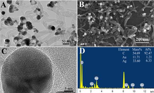 Theranostics Image