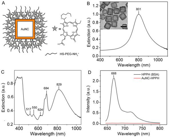 Theranostics Image