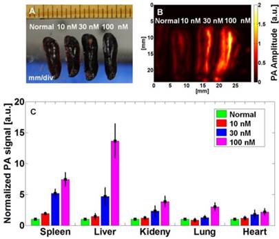 Theranostics Image