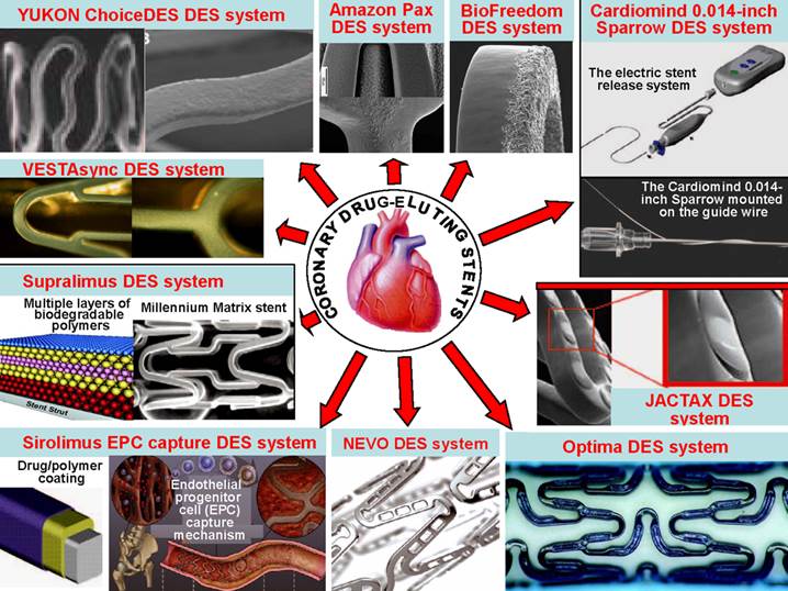 Theranostics Image