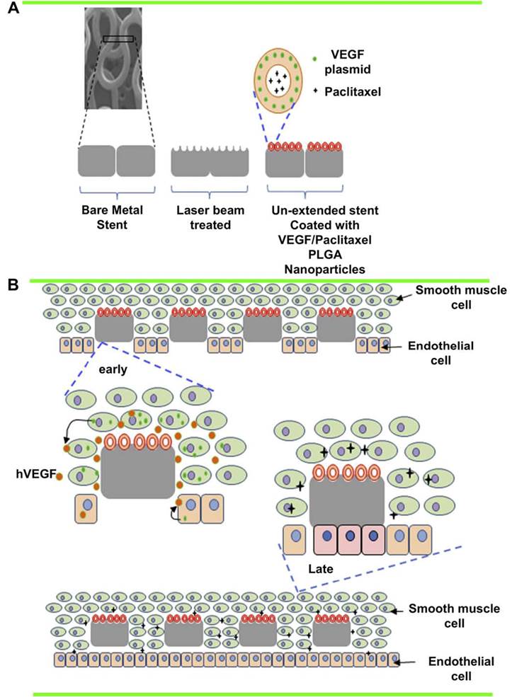 Theranostics Image