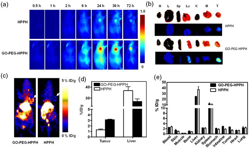 Theranostics Image