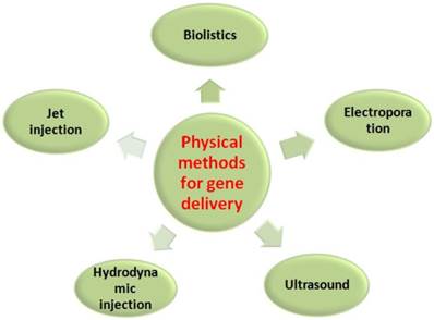 Theranostics Image