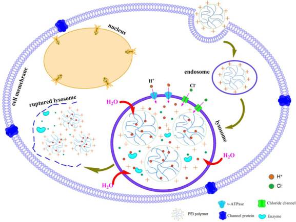 Theranostics Image