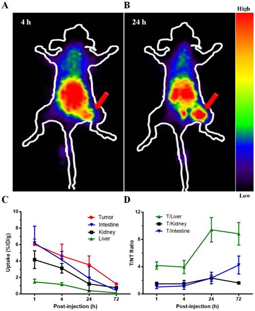 Theranostics Image