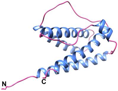 Theranostics Image