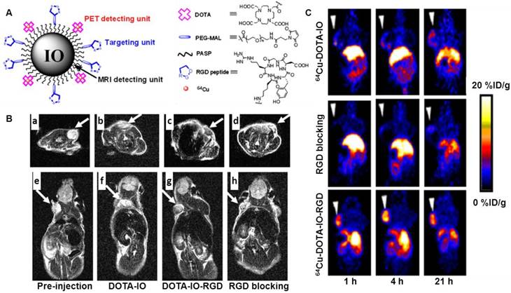 Theranostics Image