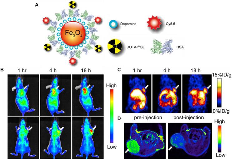 Theranostics Image