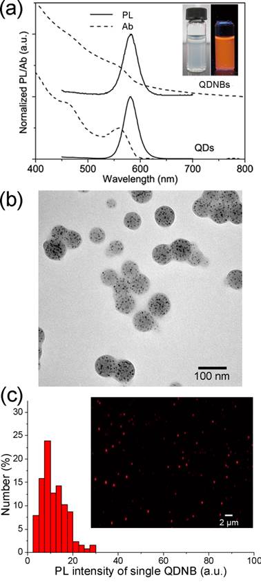 Theranostics Image