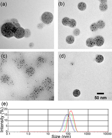 Theranostics Image