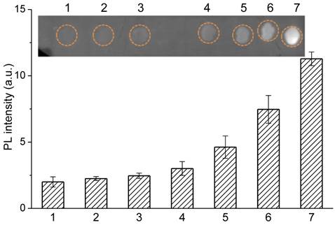 Theranostics Image