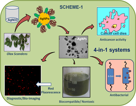 Theranostics Image