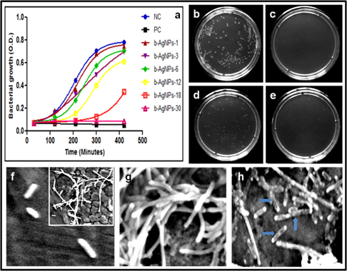 Theranostics Image