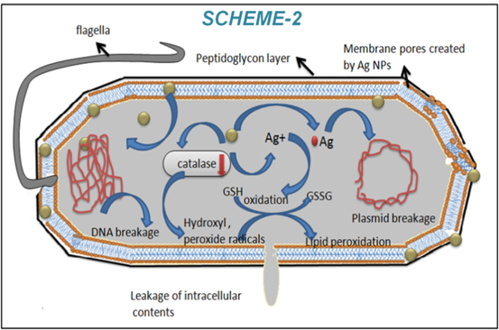 Theranostics Image