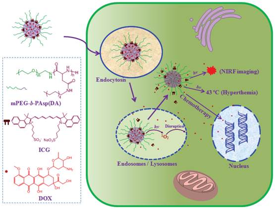 Theranostics Image