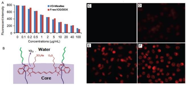 Theranostics Image