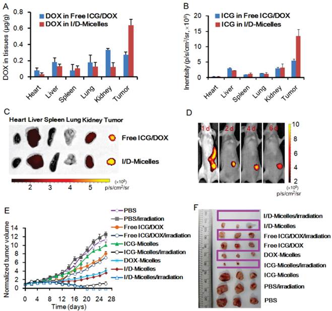 Theranostics Image