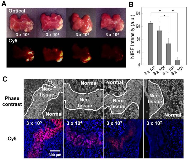 Theranostics Image