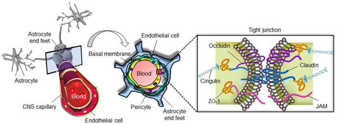 Theranostics Image