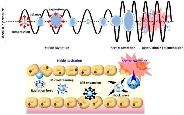 Theranostics Image