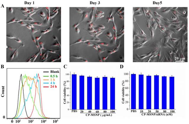 Theranostics Image