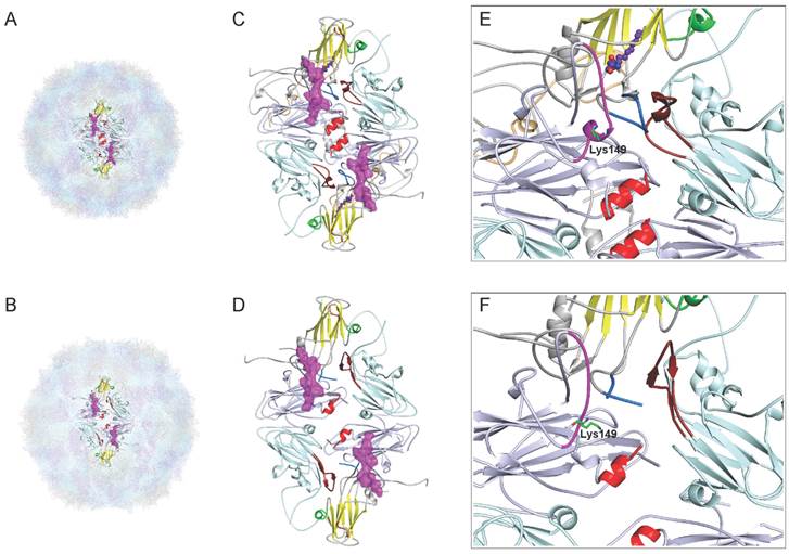 Theranostics Image