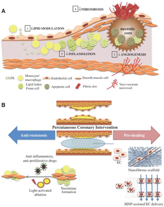 Theranostics Image