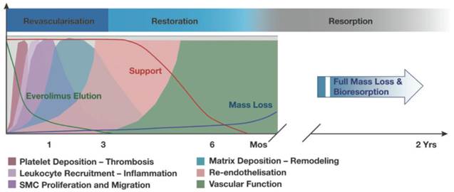 Theranostics Image