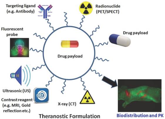 Theranostics Image