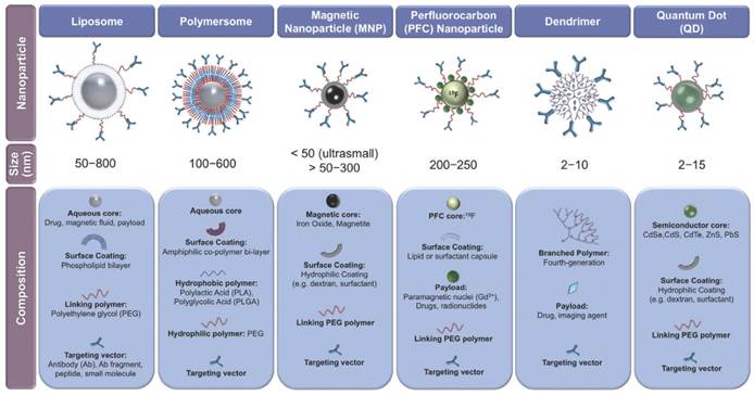 Theranostics Image