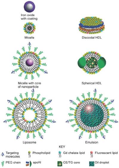 Theranostics Image