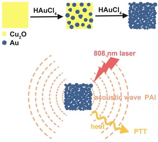 Theranostics Image