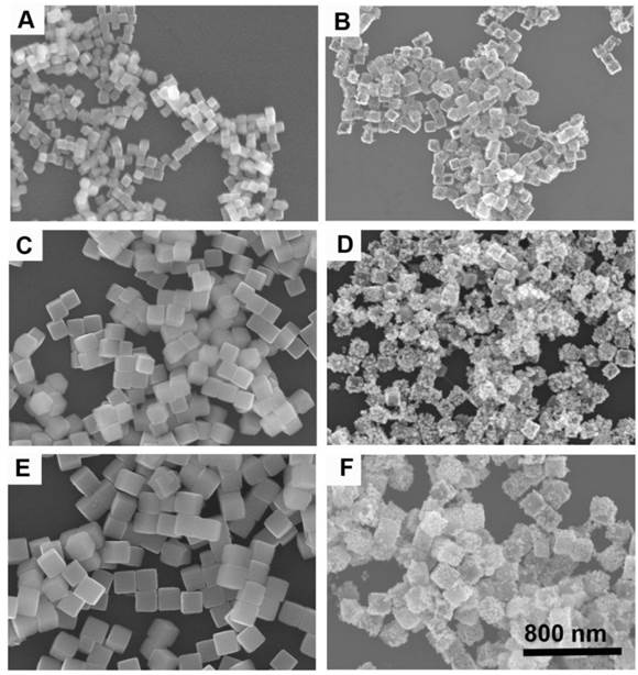 Theranostics Image