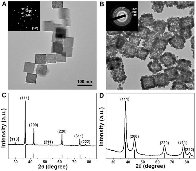 Theranostics Image