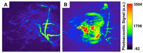 Theranostics Image