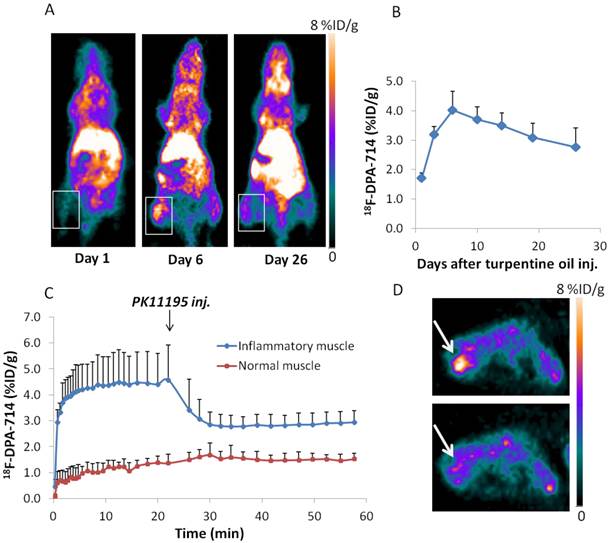 Theranostics Image