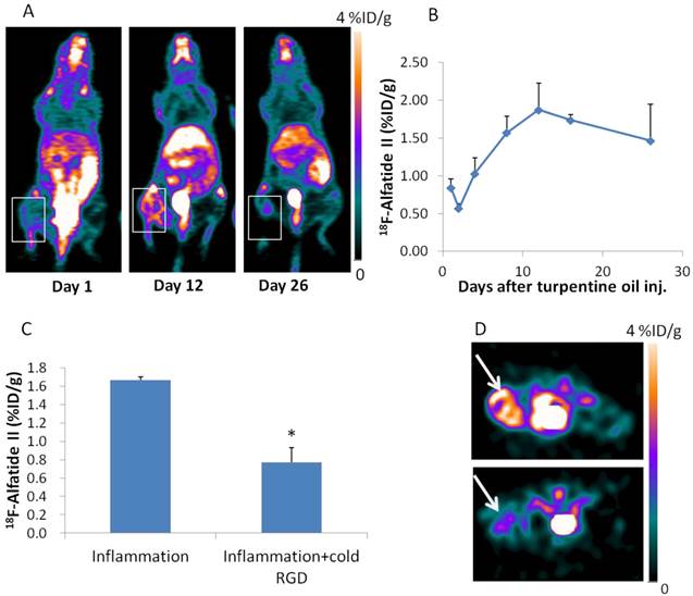 Theranostics Image