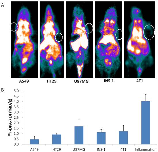 Theranostics Image