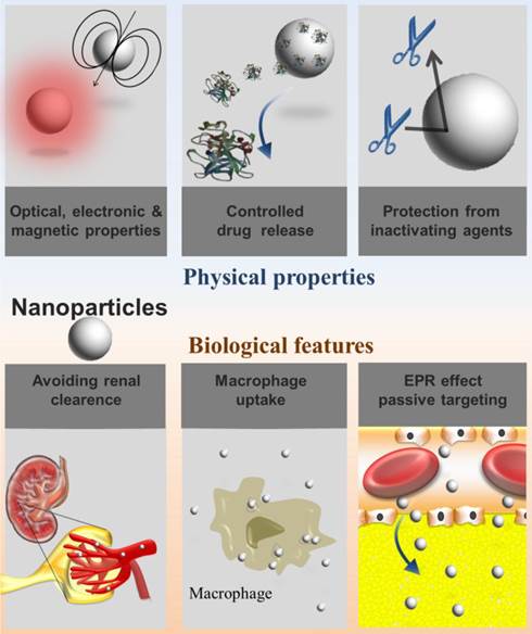 Theranostics Image